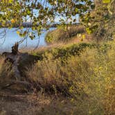 Review photo of Upper Campground - Pahranagat National Wildlife Refuge by David M., September 19, 2024