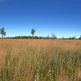 Review photo of Paint Rock Springs Campground — St. Croix State Park by Tom , October 11, 2024