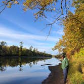 Review photo of Paint Rock Springs Campground — St. Croix State Park by Tom , October 11, 2024