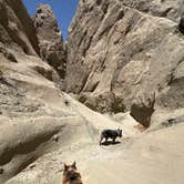 Review photo of Painted Canyon by Stephanie F., May 19, 2025