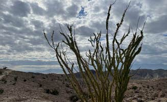 Brad C.'s photo of a dispersed camping area at Painted Canyon near Thousand Palms, CA