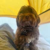 Review photo of Painted Desert Rim Drive Dispersed Pulloff by Bekki M., March 14, 2026
