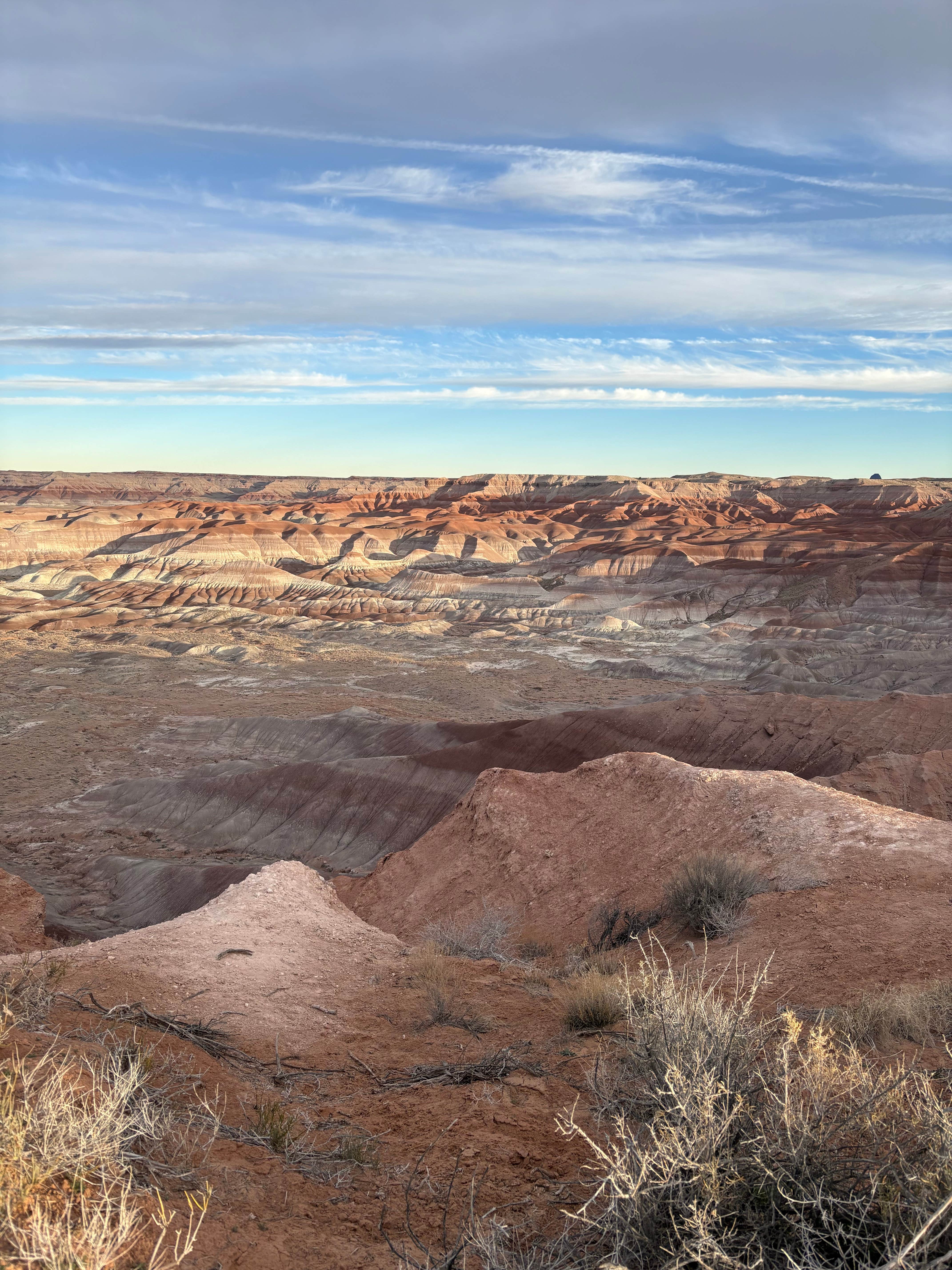 Camper submitted image from Painted Desert Rim Drive Dispersed Pulloff - 1
