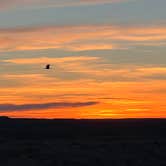 Review photo of Painted Desert Rim Drive Dispersed Pulloff by Victoria L., March 19, 2026