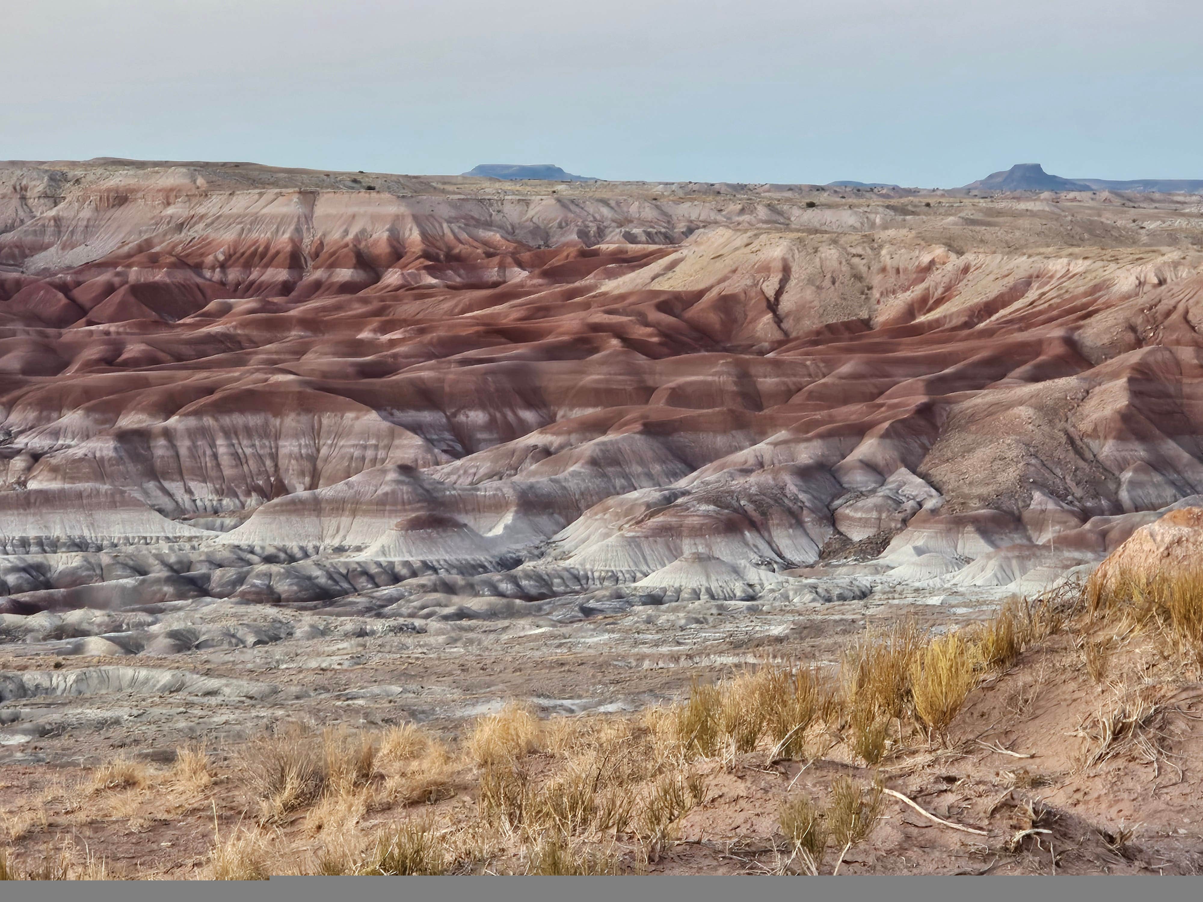 Camper submitted image from Painted Desert Rim Drive Dispersed Pulloff - 1
