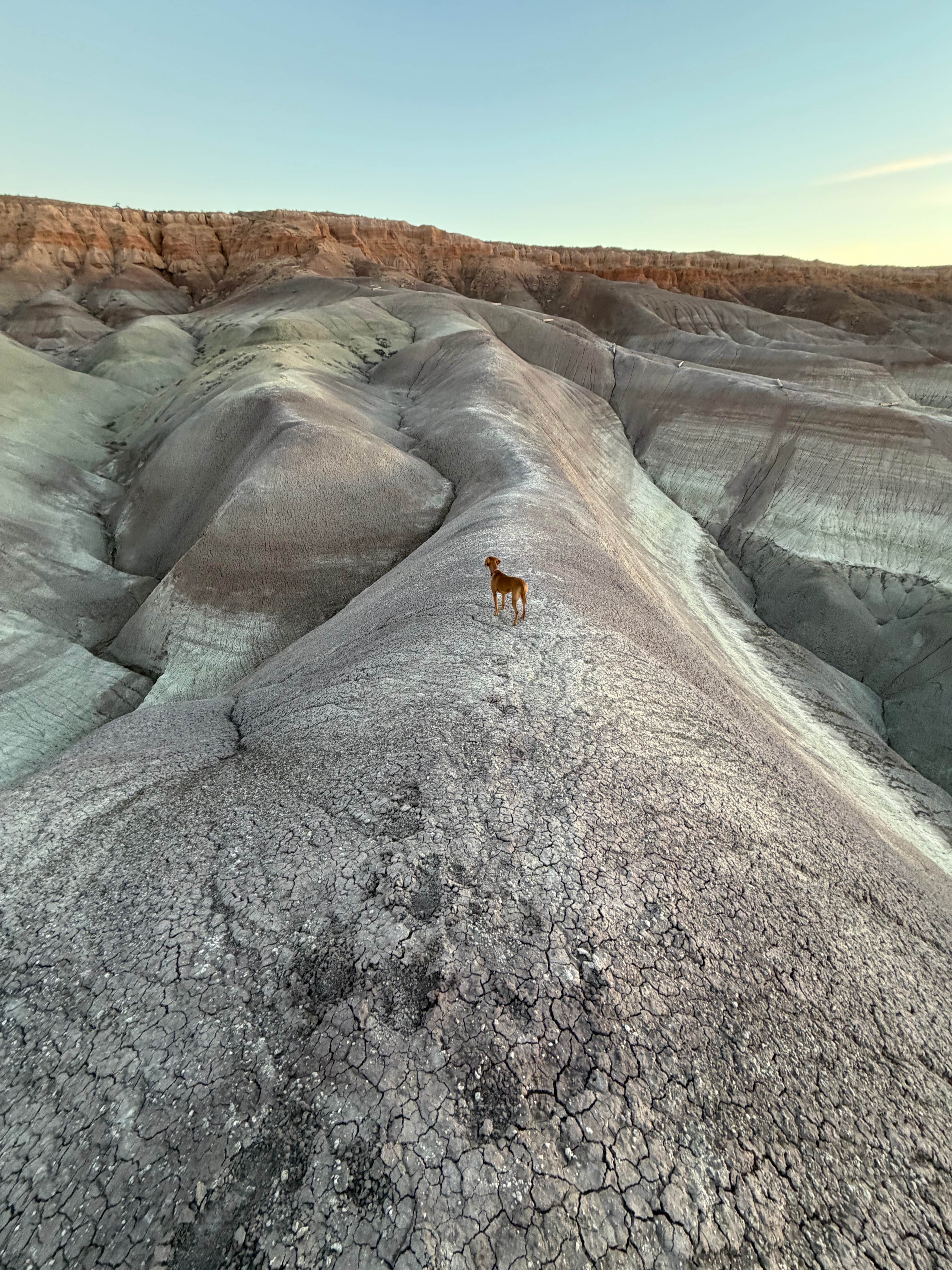 Kaitlyn's photo of camping with pets at Painted Desert Rim Drive Dispersed Pulloff near Holbrook, AZ