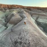 Review photo of Painted Desert Rim Drive Dispersed Pulloff by Kaitlyn , December 22, 2025