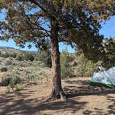 Review photo of Painted Hills South Camp by Joseph W., May 24, 2026