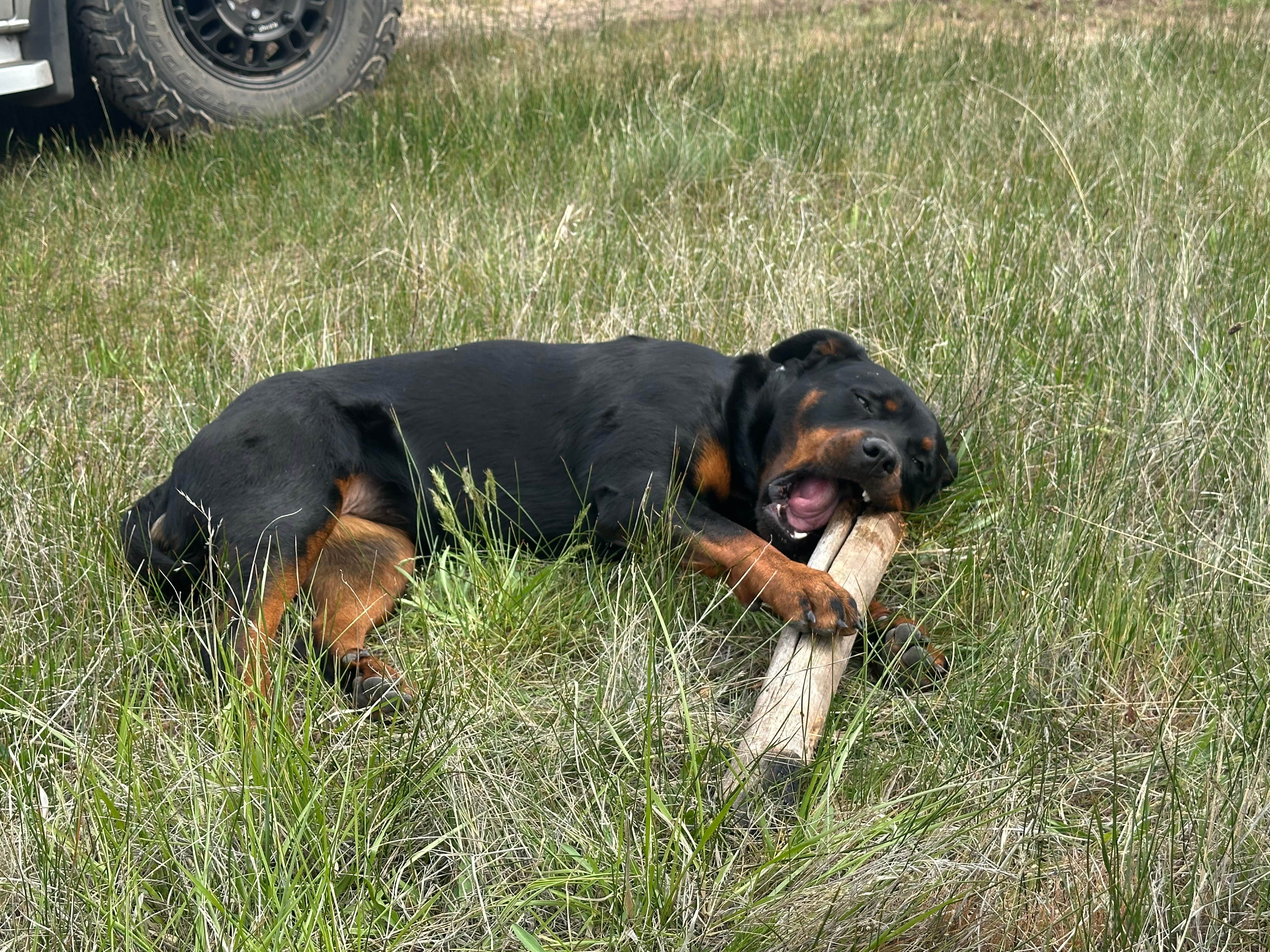 Camper-submitted photo at Painted Hills South Camp near Dayville, OR
