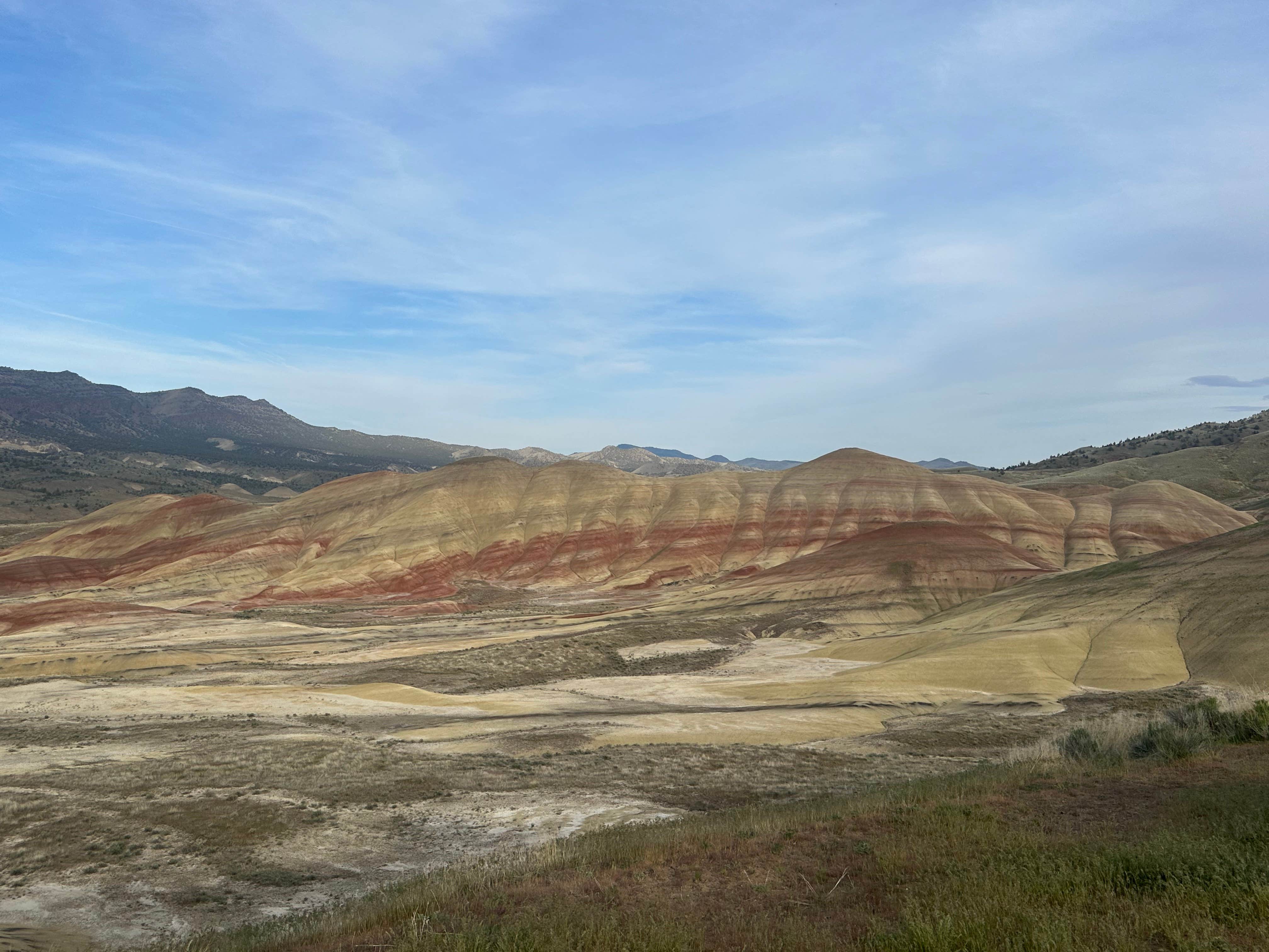 Camper submitted image from Painted Hills South Camp - 1