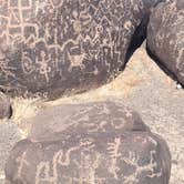 Review photo of Painted Rock Petroglyph Site And Campground by Dave B., January 29, 2025