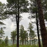 Review photo of Pajarito Springs (Dispersed) by Charity S., July 16, 2025