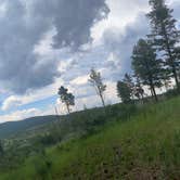 Review photo of Pajarito Springs (Dispersed) by Charity S., July 16, 2025