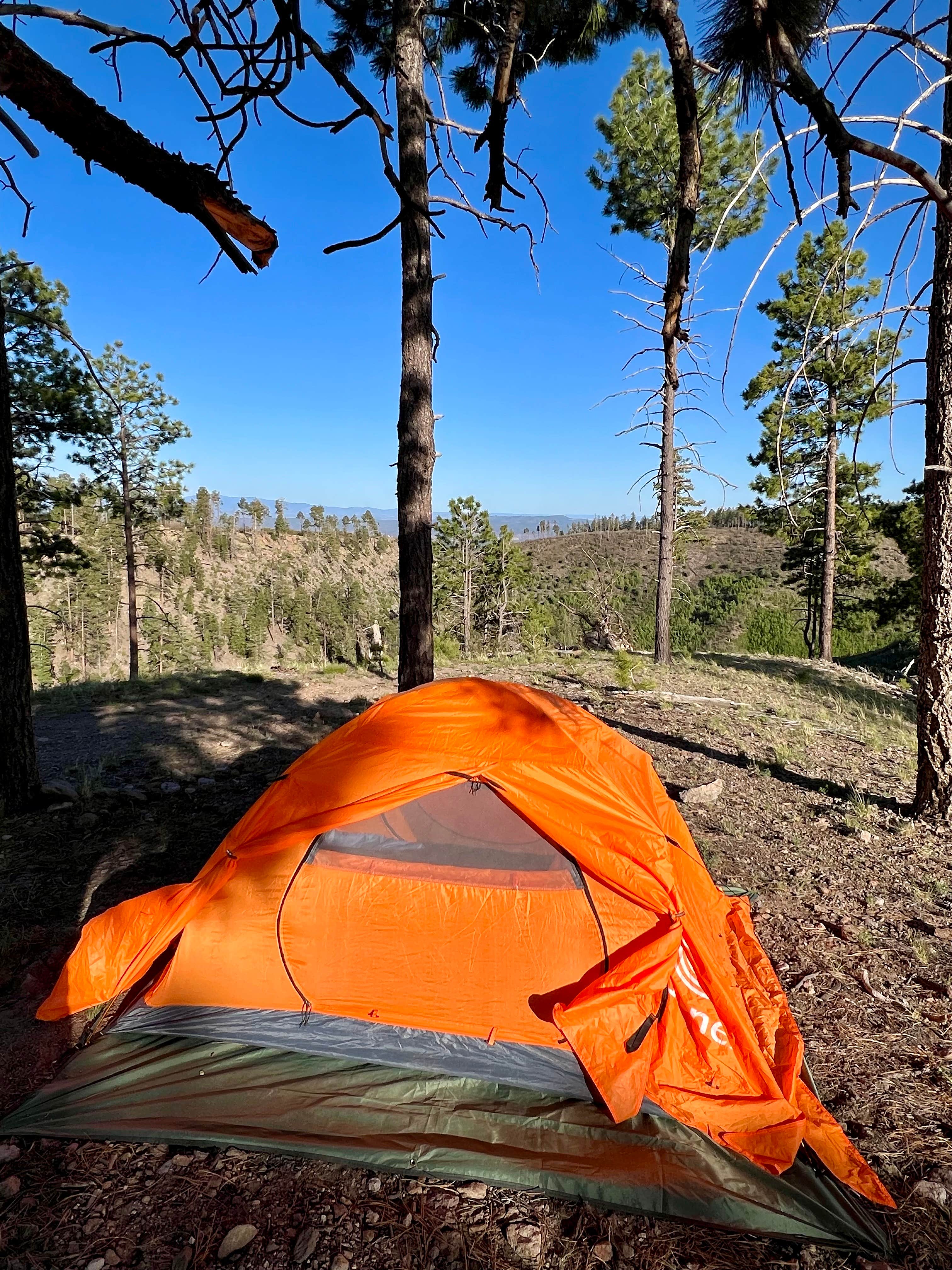 Camper submitted image from Pajarito Springs (Dispersed) - 4