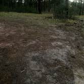 Review photo of Pajarito Springs (Dispersed) by C L., June 30, 2026