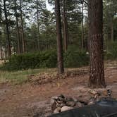 Review photo of Pajarito Springs (Dispersed) by C L., June 30, 2026