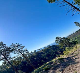 Camper-submitted photo from Pajarito Springs (Dispersed)