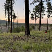 Review photo of Pajarito Springs (Dispersed) by Jim C., July 12, 2025