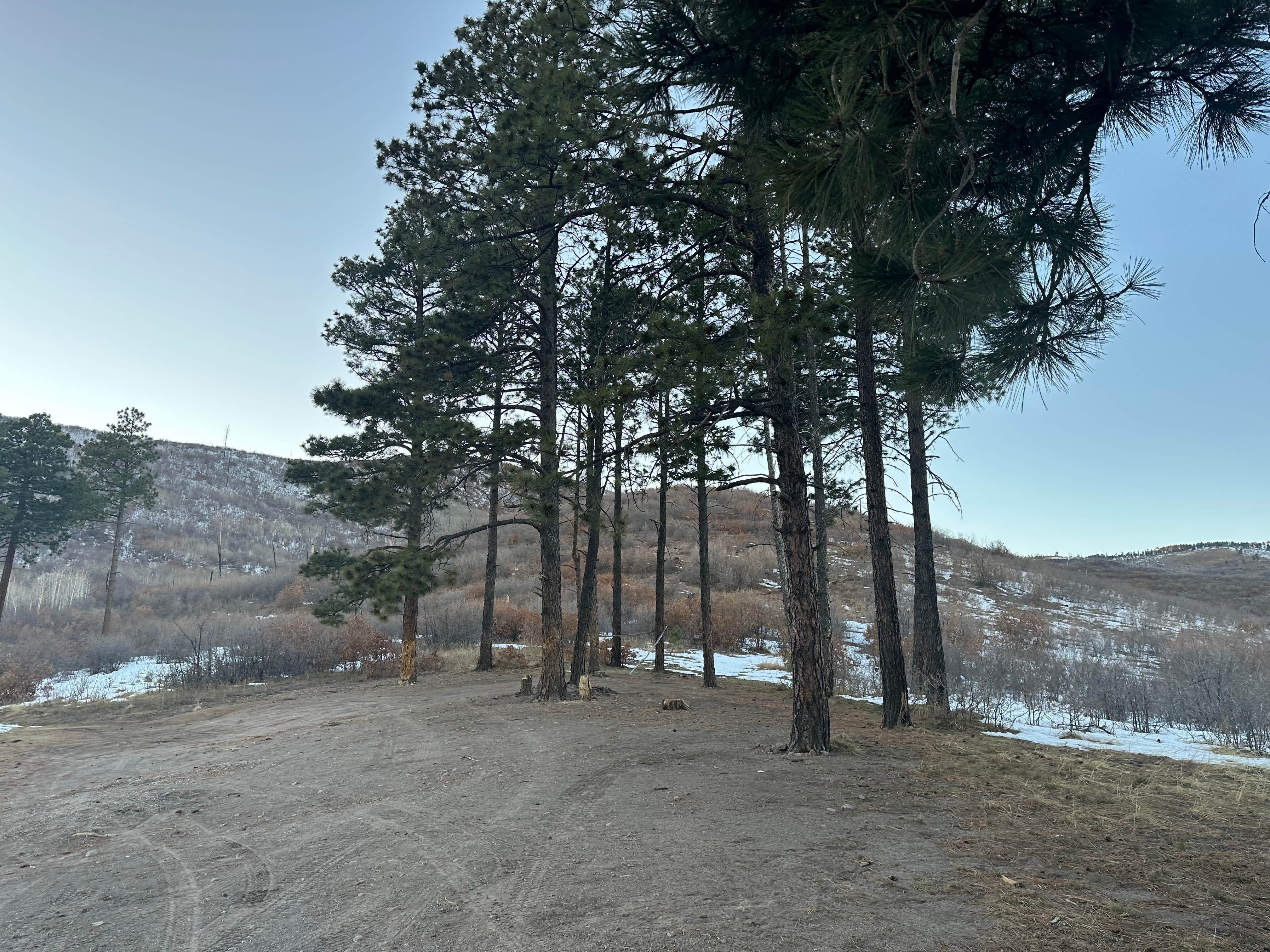 Josh M.'s photo of camping with pets at Pajarito Springs (Dispersed) near Jemez Springs, NM