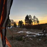 Review photo of Pajarito Springs (Dispersed) by Josh M., November 27, 2024