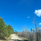 Review photo of Pajarito Springs (Dispersed) by johny R., April 15, 2026
