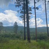Review photo of Pajarito Springs (Dispersed) by Charity S., July 16, 2025