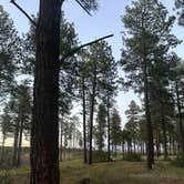 Review photo of Pajarito Springs (Dispersed) by C L., June 30, 2026
