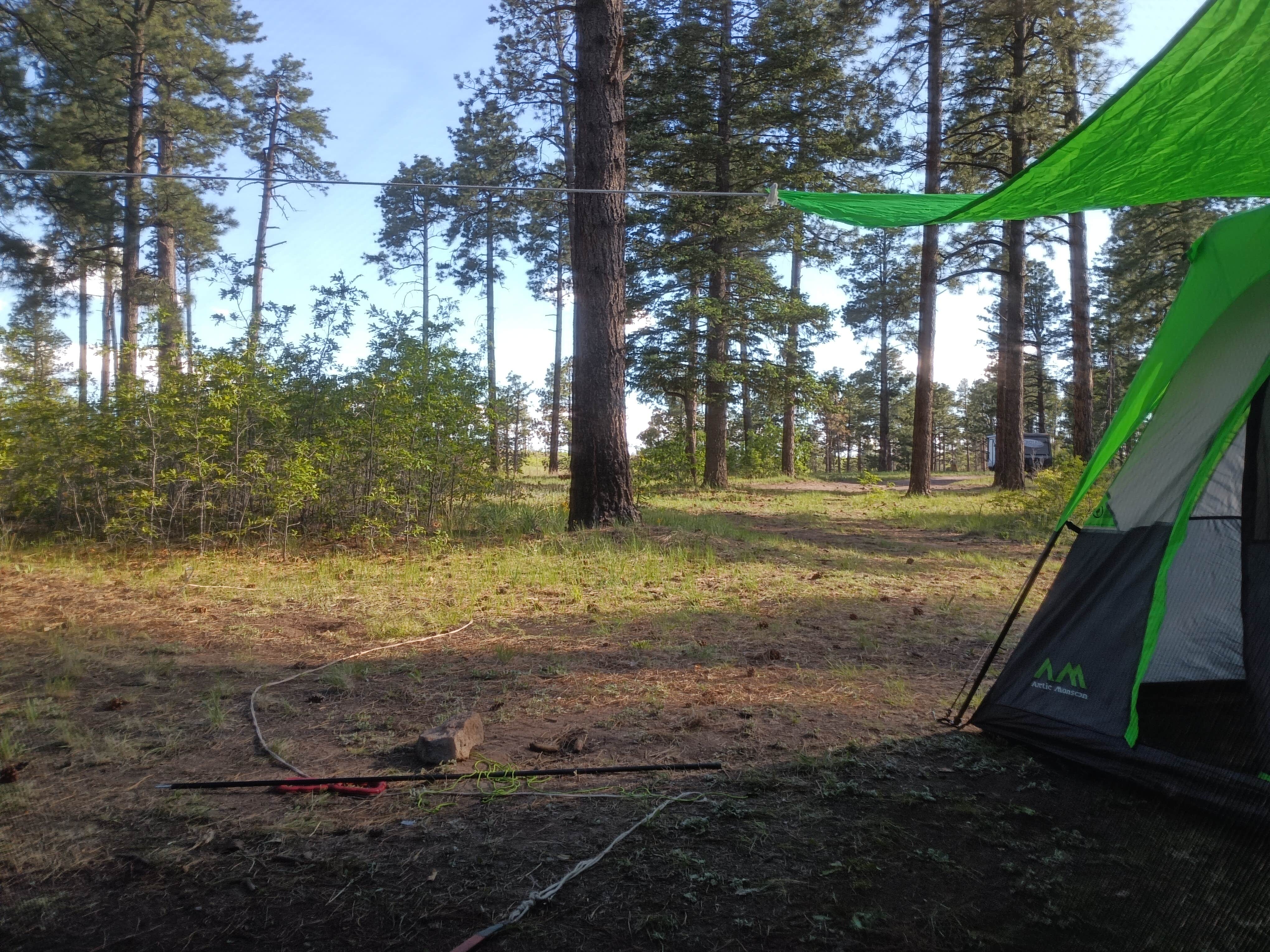 Camper-submitted photo at Pajarito Springs (Dispersed) near White Rock, NM