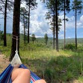 Review photo of Pajarito Springs (Dispersed) by Charity S., July 16, 2025