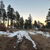 Review photo of Pajarito Springs (Dispersed) by Josh M., November 27, 2024