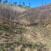 Review photo of Pajarito Springs (Dispersed) by johny R., April 15, 2026