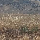 Review photo of Pala Casino Spa Resort by Alison A., June 25, 2025