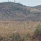 Review photo of Pala Casino Spa Resort by Alison A., June 25, 2025