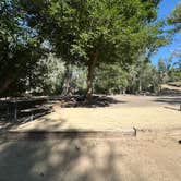 Review photo of Palisade Basecamp RV Resort by Jacob D., September 2, 2024