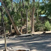 Review photo of Palisade Basecamp RV Resort by Jacob D., September 2, 2024