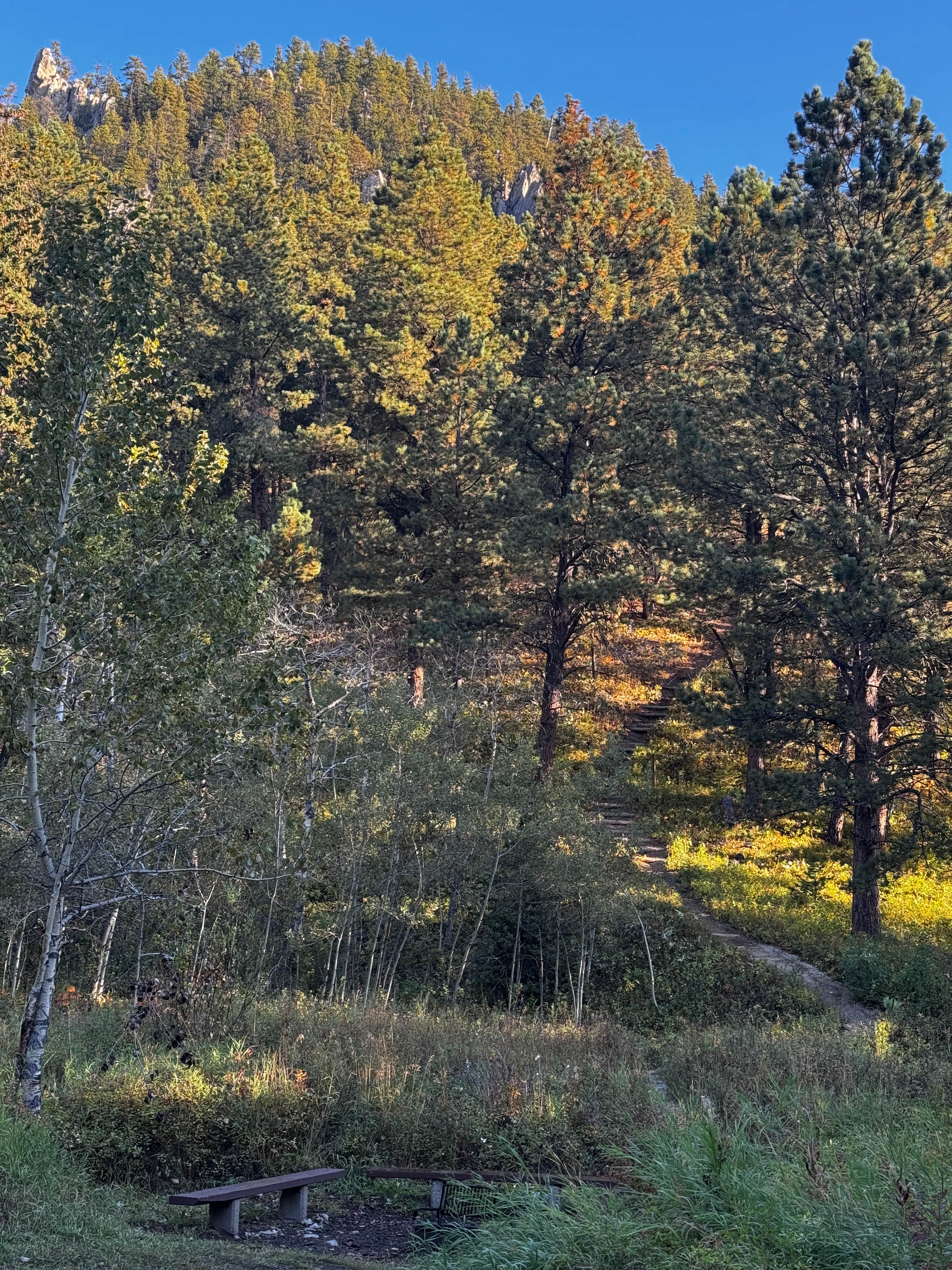 Camper-submitted photo at Palisades Campground — Custer Gallatin National Forest near Red Lodge, MT