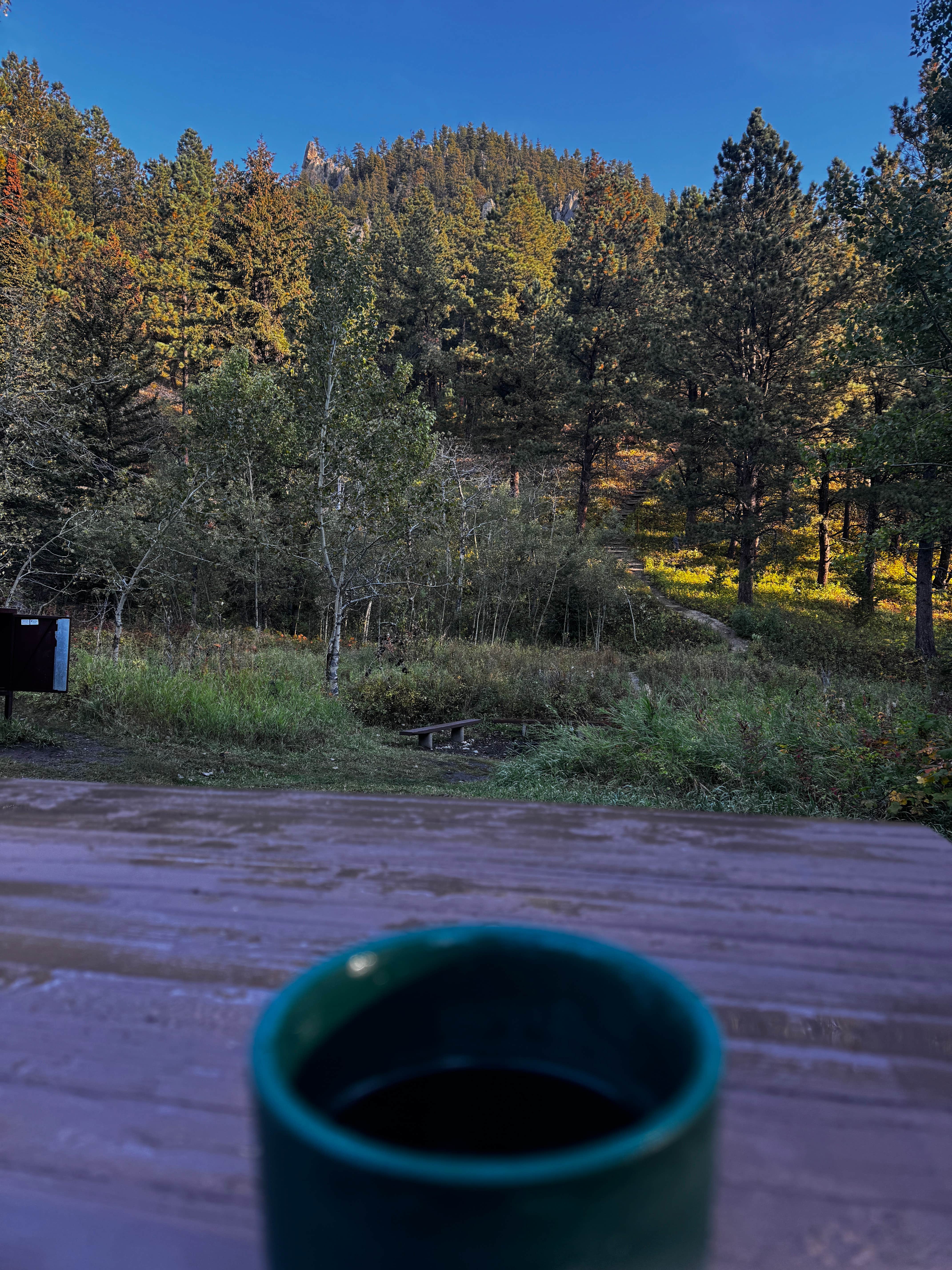 Camper-submitted photo at Palisades Campground — Custer Gallatin National Forest near Red Lodge, MT