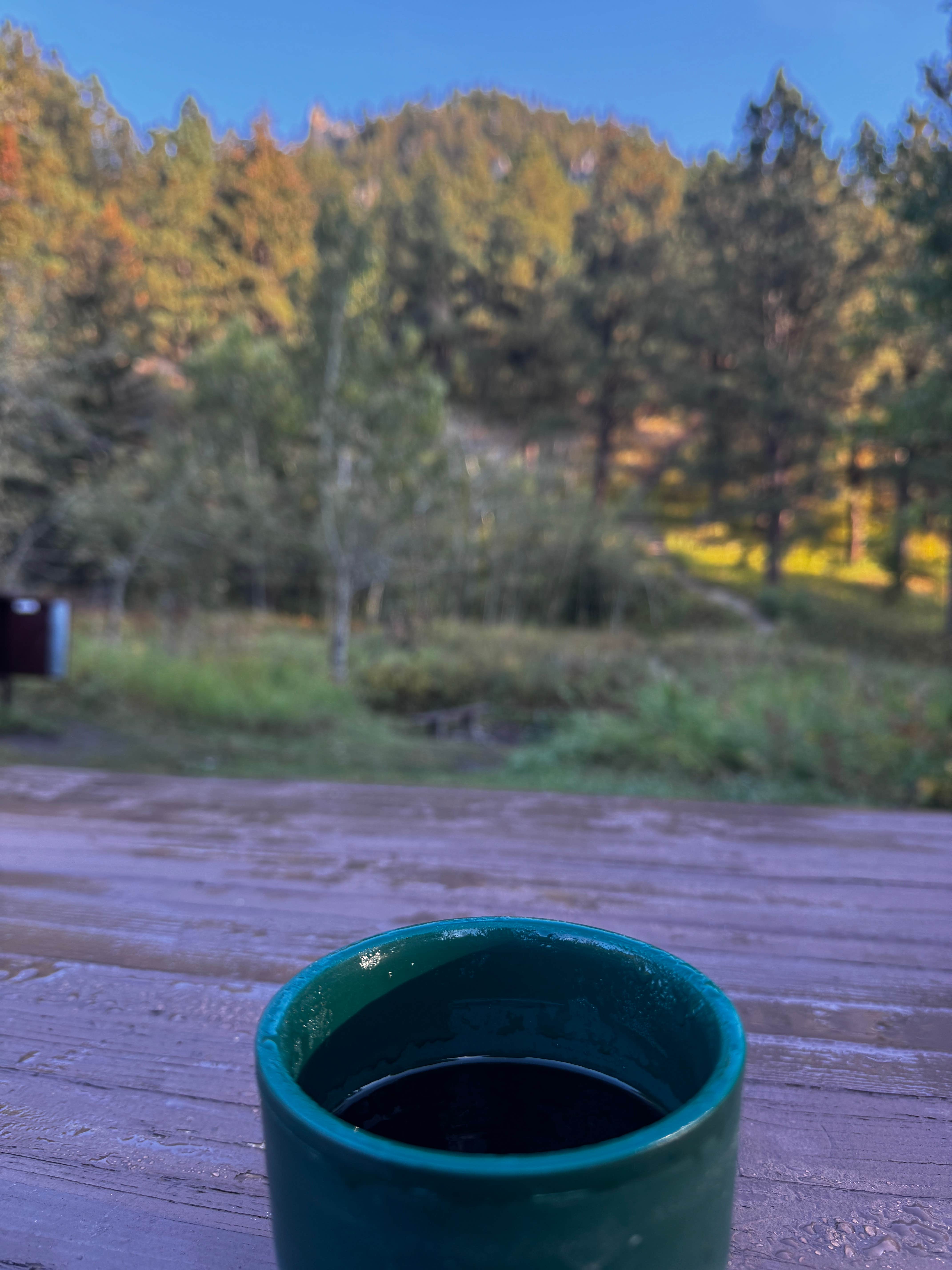 Camper-submitted photo at Palisades Campground — Custer Gallatin National Forest near Red Lodge, MT