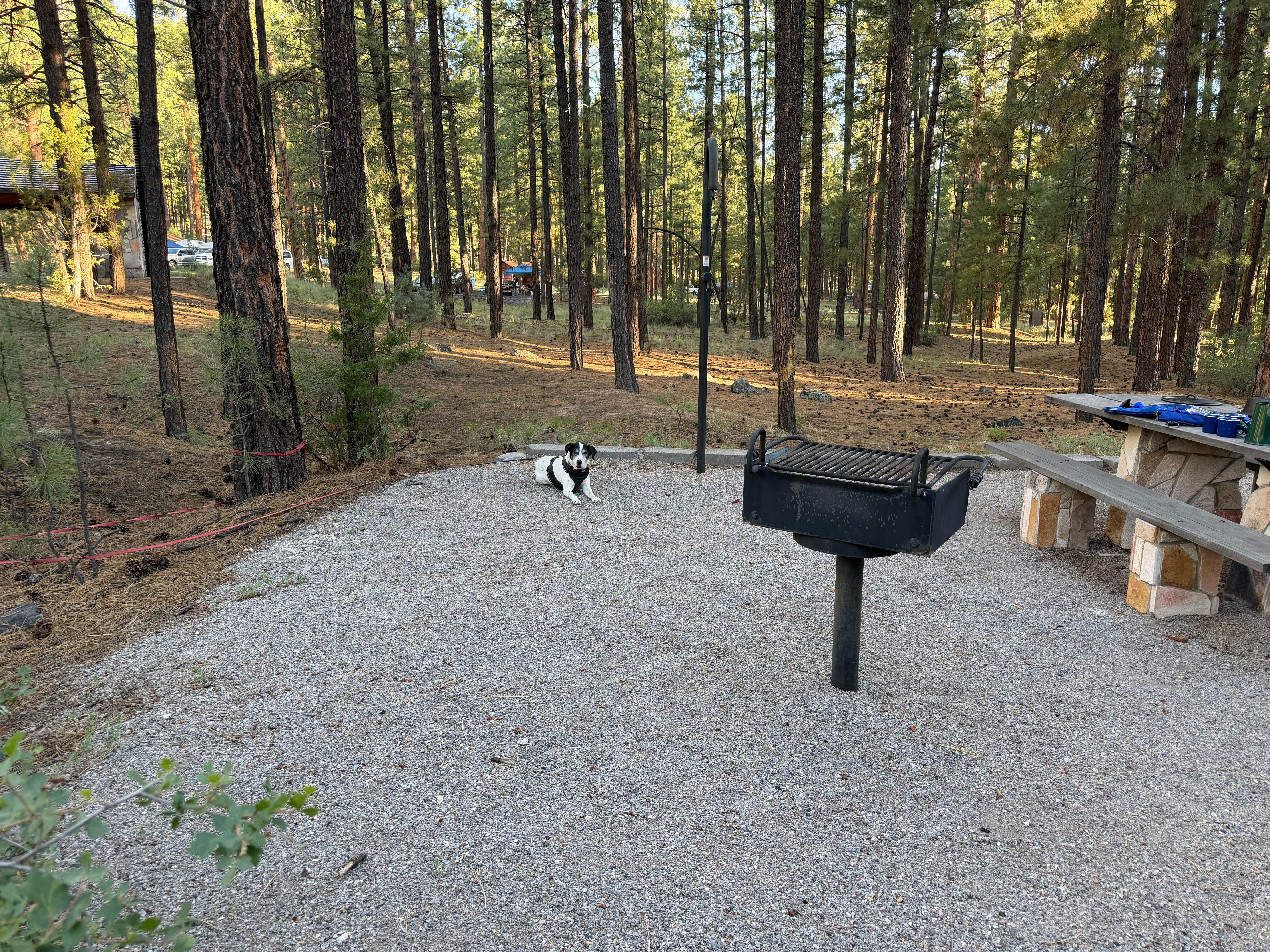 Camper-submitted photo at Paliza Family Campground near Jemez Springs, NM