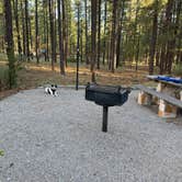 Review photo of Paliza Family Campground by Aaron S., August 2, 2026
