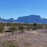Review photo of BLM Palm Canyon Road Dispersed by Christine B., December 11, 2025