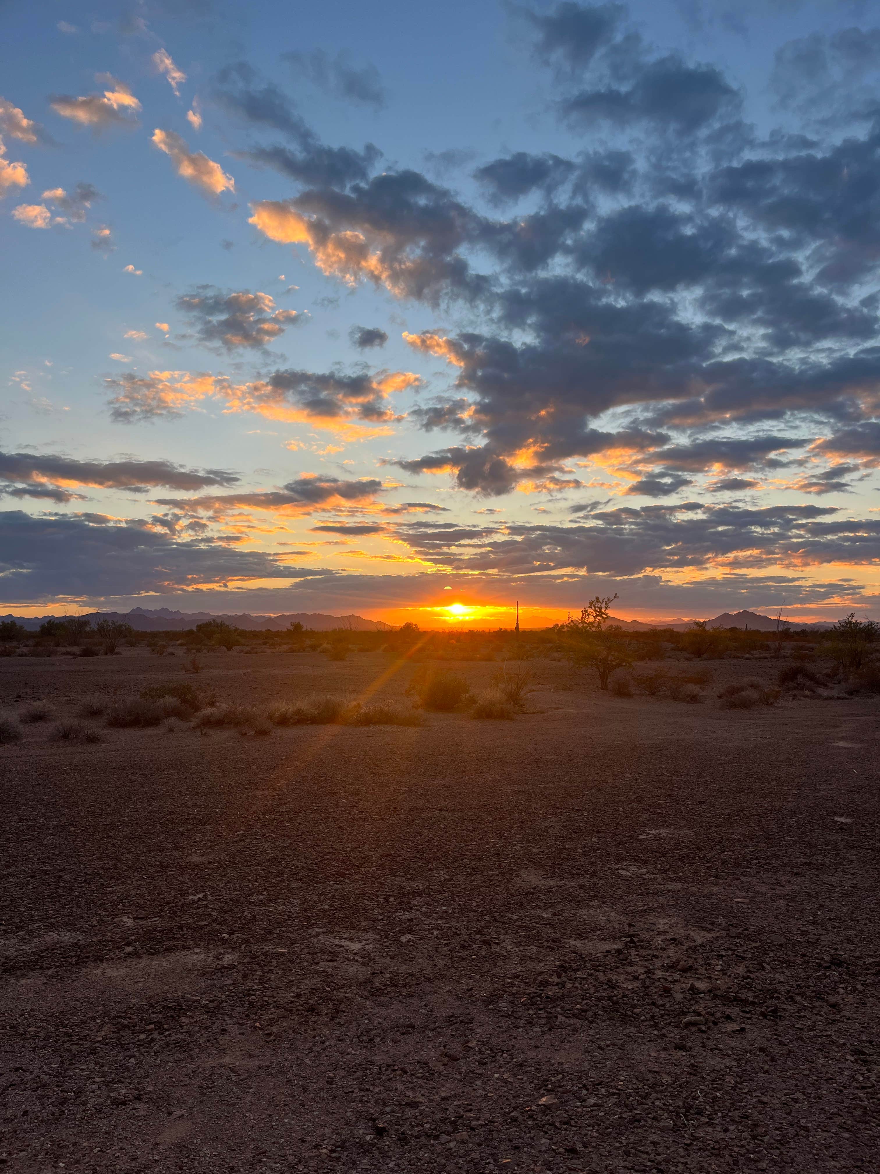 Sarah M.'s photo of a dispersed camping area at BLM Palm Canyon Road Dispersed near Palo Verde, CA