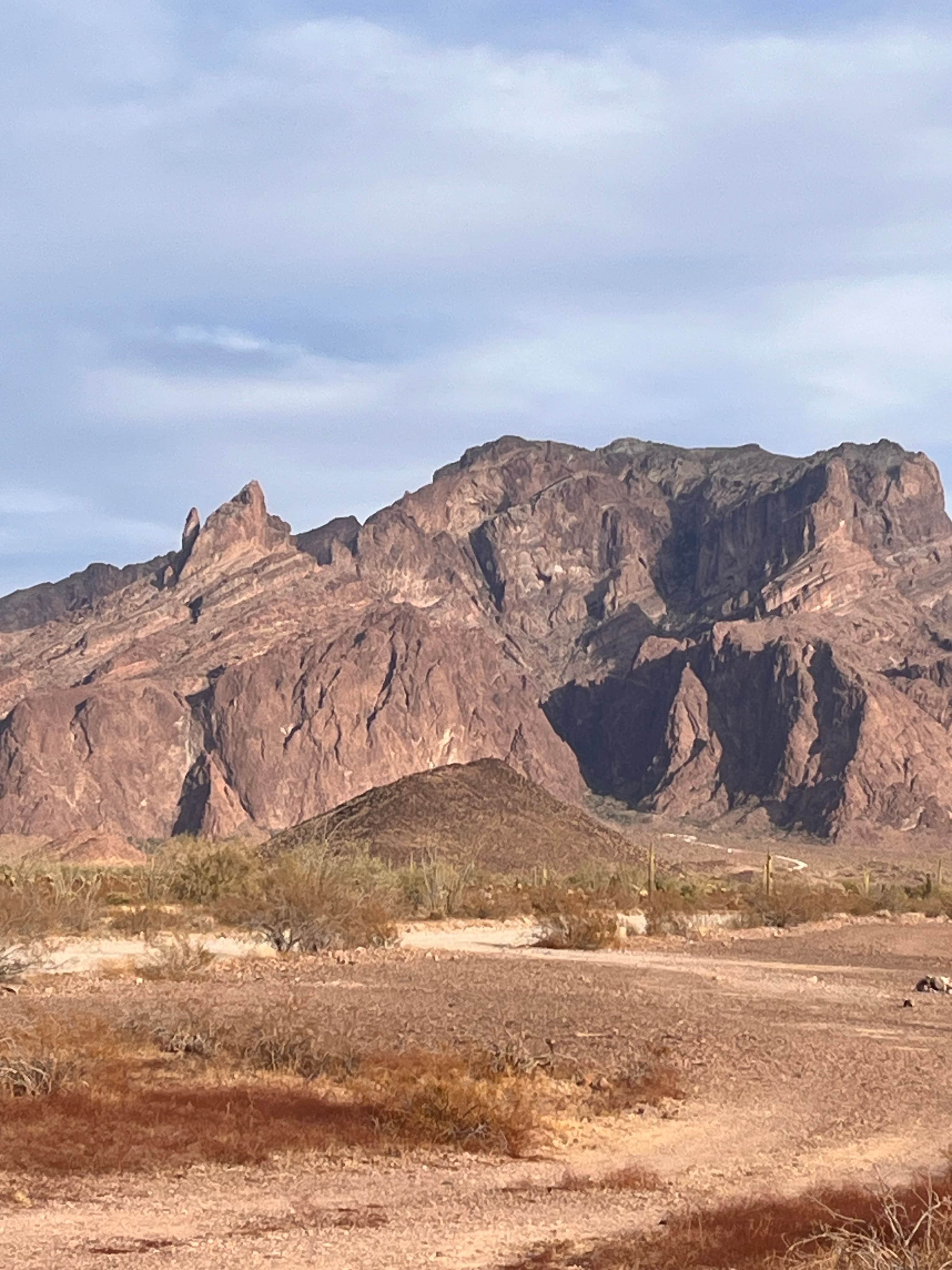 Camper submitted image from BLM Palm Canyon Road Dispersed - 1