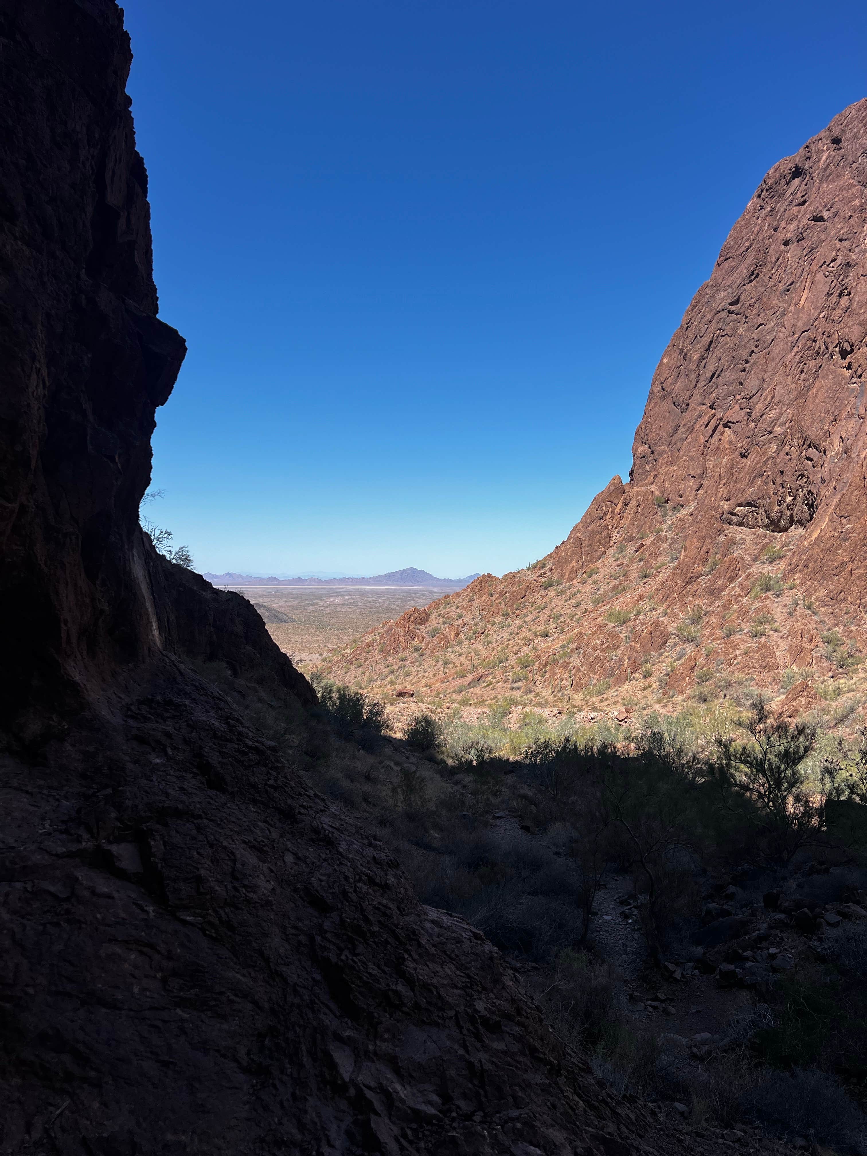 Camper-submitted photo at BLM Palm Canyon Road Dispersed near Cibola, AZ