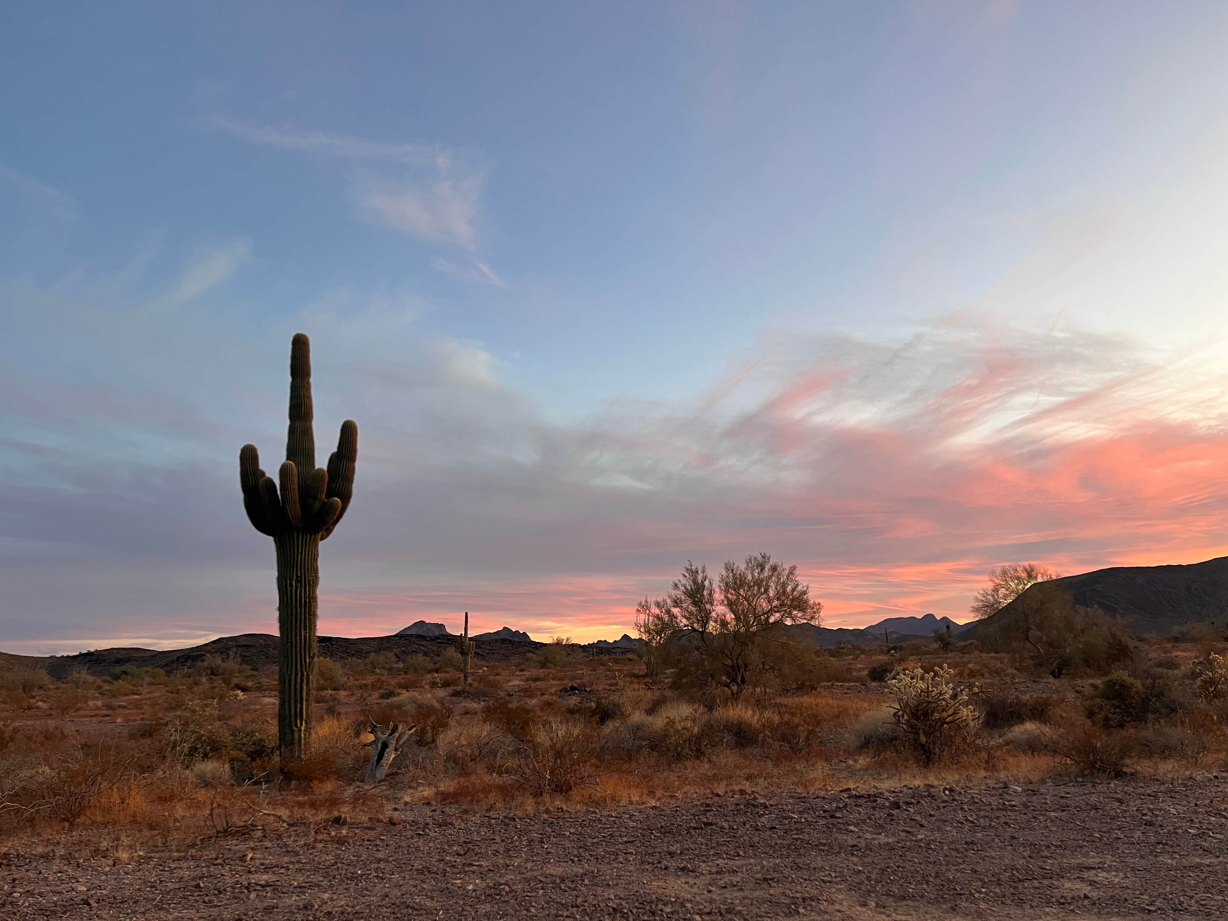 Camper-submitted photo at BLM Palm Canyon Road Dispersed near Cibola, AZ