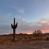 Review photo of BLM Palm Canyon Road Dispersed by Julie F., February 9, 2025