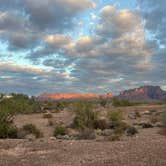 Review photo of BLM Palm Canyon Road Dispersed by Sarah M., November 26, 2023