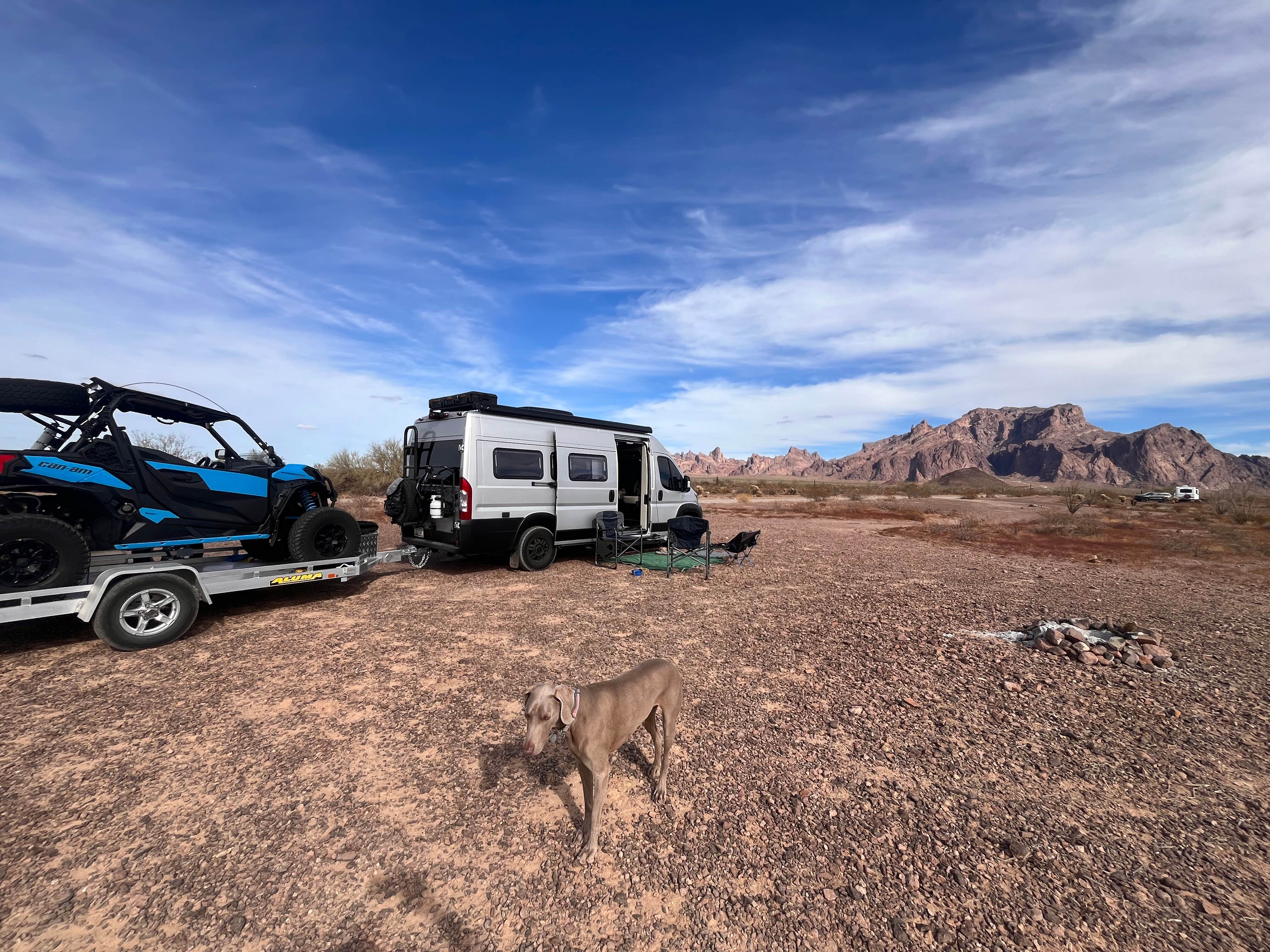 Julie F.'s photo of camping with pets at BLM Palm Canyon Road Dispersed near Cibola, AZ