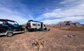 Julie F.'s photo of camping with pets at BLM Palm Canyon Road Dispersed near Cibola, AZ
