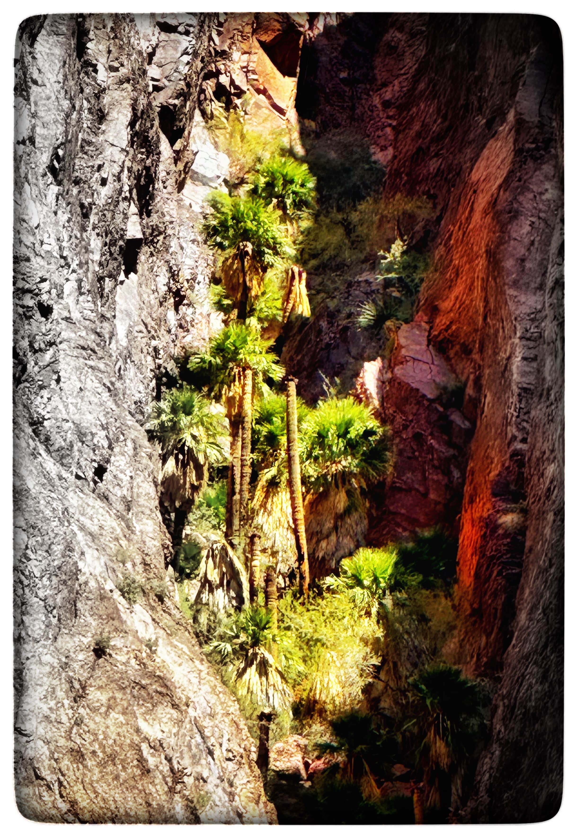 BLM Palm Canyon Road Dispersed Camping Quartzsite, AZ